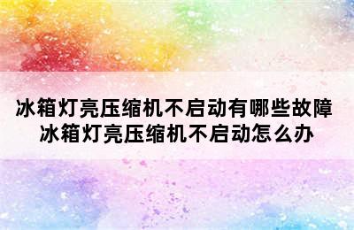 冰箱灯亮压缩机不启动有哪些故障 冰箱灯亮压缩机不启动怎么办